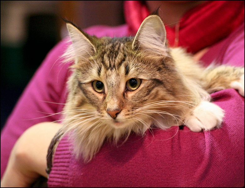 Titran's Mathilde 5.jpg - Titran's Mathilde